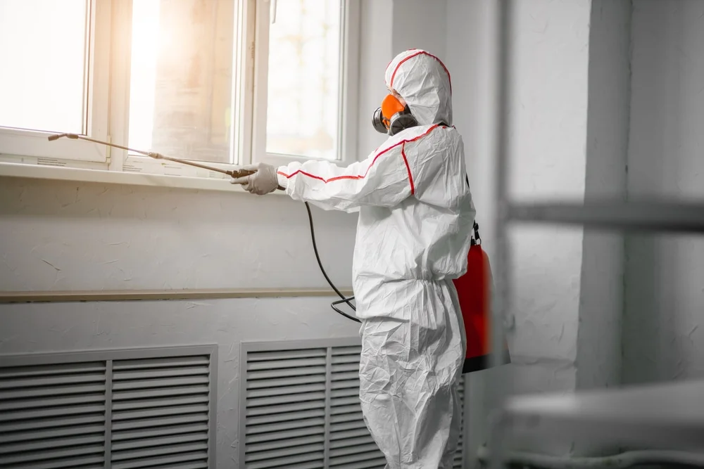 Professional mold remediation services in Danbury, TX